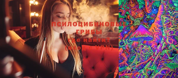 бошки Богданович