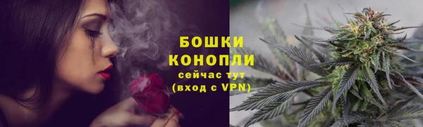 apvp Богородицк