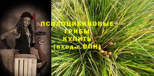 ГАЛЛЮЦИНОГЕННЫЕ ГРИБЫ Богородск